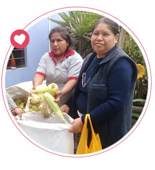 Convenios Donalo Perú